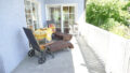 Bild12