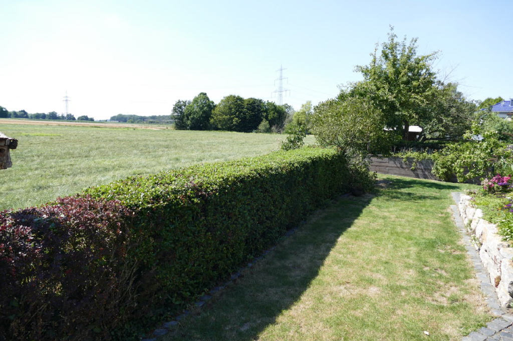 Bild20