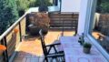 Bild8