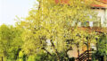 Bild2