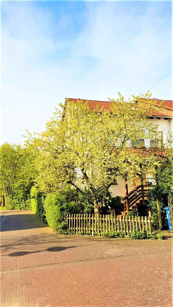 Bild2