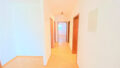 Bild8