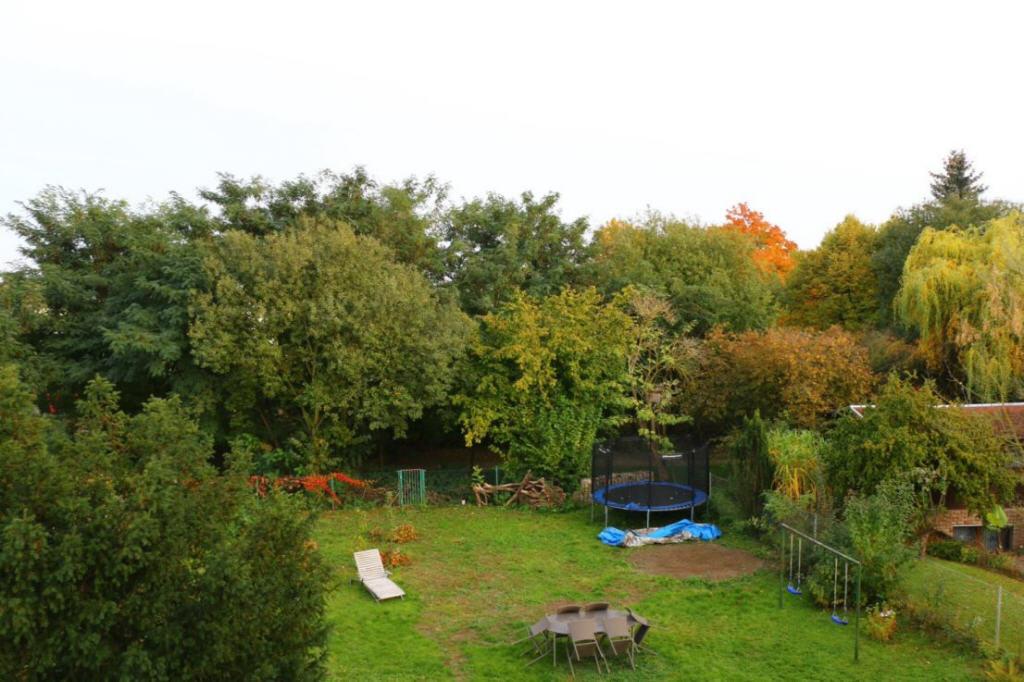 Bild4