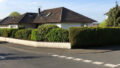 Bild1