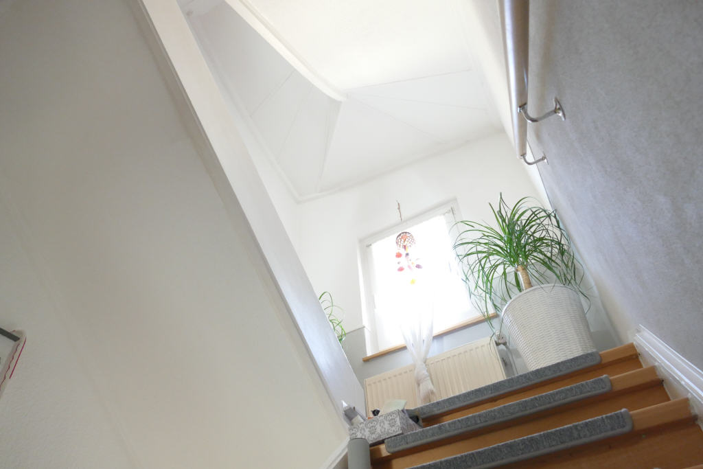 Bild5