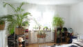 Bild10