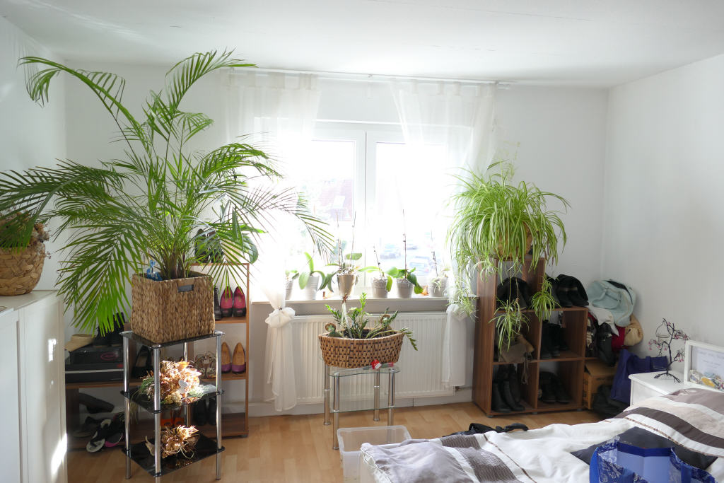 Bild10