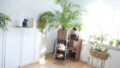 Bild11