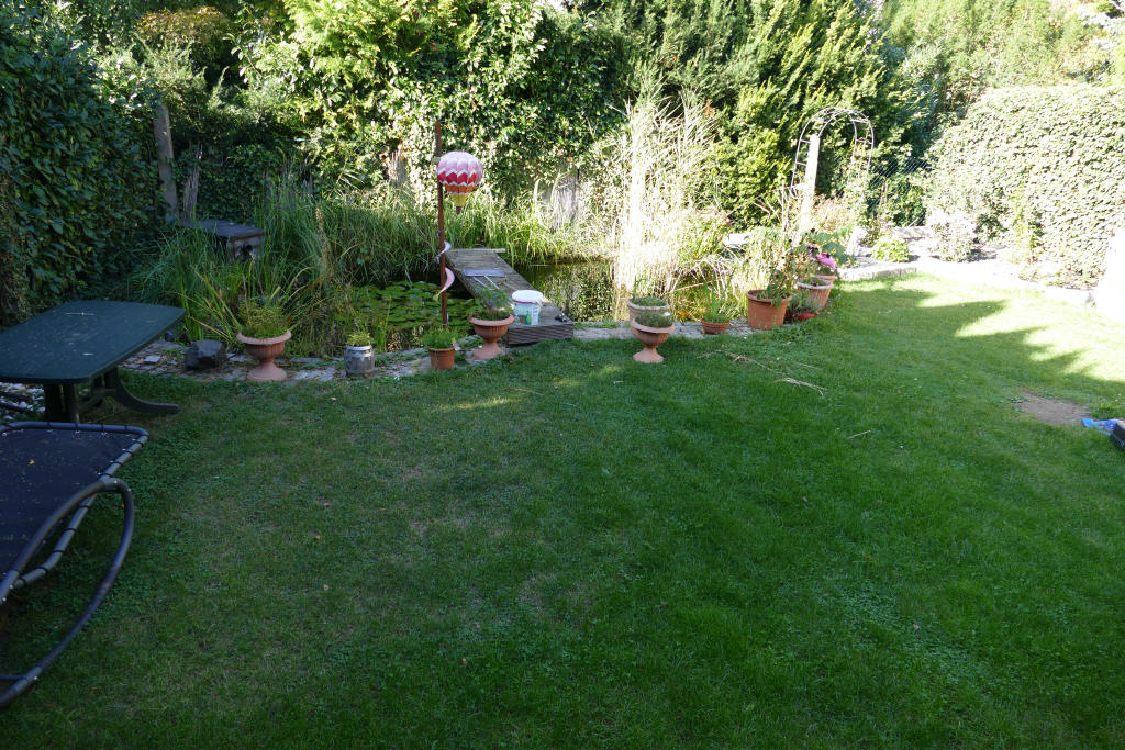 Bild16